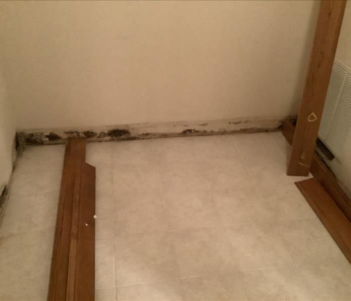mold growth in coon rapids home